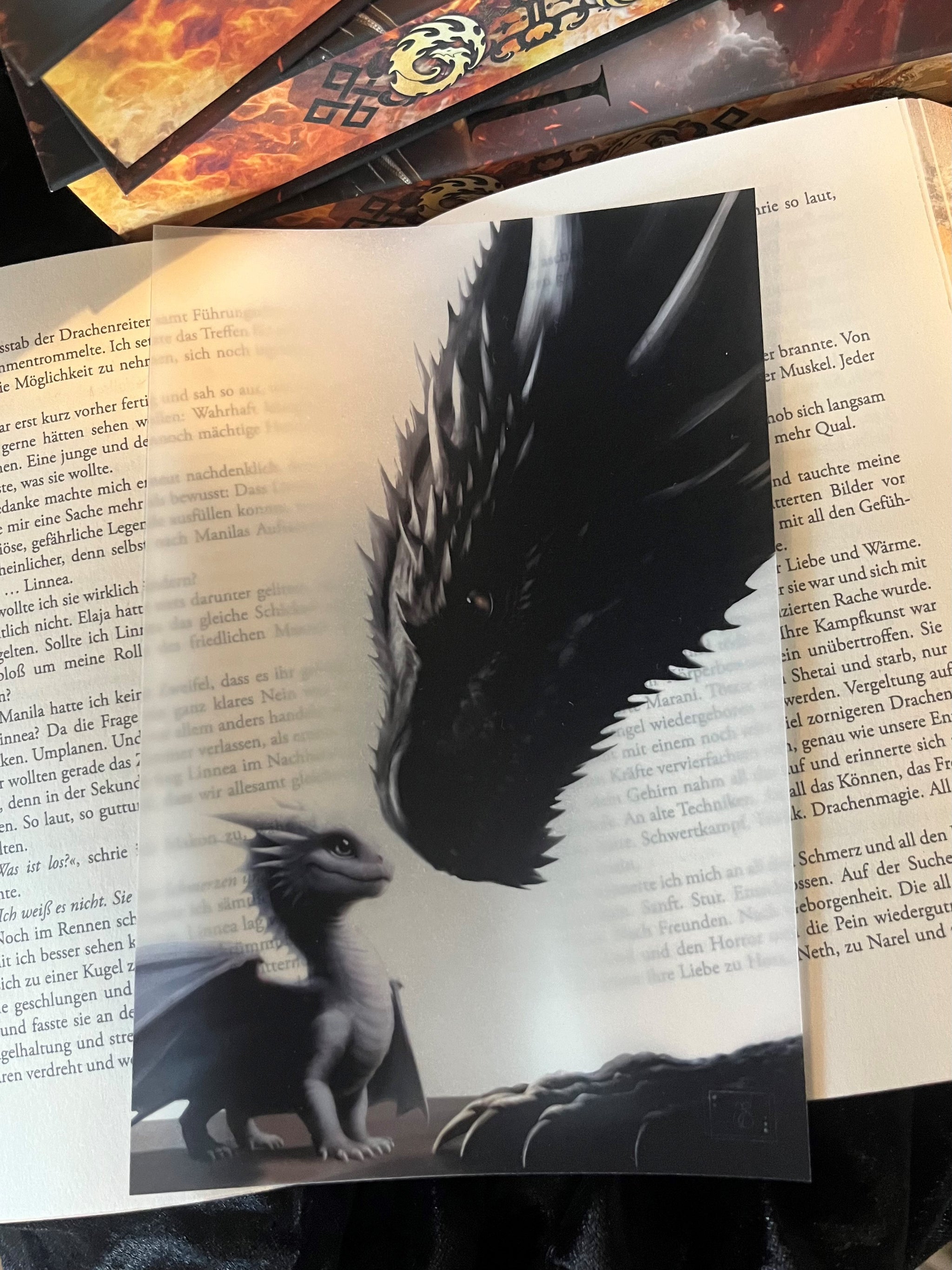 Das Page Overlay zeigt rechts einen kleinen hellen Drachen und links einen großen dunklen Drachenkopf, der sich dem kleinen Drachen zuneigt.