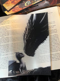 Asrai - Drachen - Page Overlay