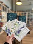 Auf dem Bild sieht man eine Hand, die die vier Karten zu "Das Tagebuch der Jenna Blue" hält. Auf jeder Karte ist eine andere Blume abgebildet, mit einem Zitat aus dem Buch. Es gibt eine Karte mit einer Silberweide, eine mit einem blauen Eisenhut, eine mit einem Märzveilchen und eine mit einem Vergissmeinnicht.