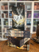 Das Bild zeigt einen Stapel von "Asrai - Das Portal der Drachen". Das Cover ist dabei direkt auf den Betrachter gerichtet und der Farbschnitt sowie der Buchrücken bei den liegenden Büchern sichtbar.