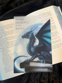 Das Page Overlay zeigt einen blauen Drachen von der Seite, der auf Büchern sitzt. In der linken oberen Ecke steht der Spruch It's not hoarding if it's books. 