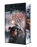 Das Cover zeigt mittig den Titel des Buches. Unterhalb des Titels ist eine junge Frau mit braunen Haaren im Seitenprofil abgebildet, hinter welcher ein Metall-Drache steht. Hinter dem Buchtitel ist eine graue Sonnenabbildung. Der Farbschnitt zeigt einen jungen Mann mit blonden Haaren im Seitenprofil. Oberhalb und unterhalb von ihm sind große Schneeflocken abgebildet.