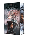 Das Cover zeigt mittig den Titel des Buches. Unterhalb des Titels ist eine junge Frau mit braunen Haaren im Seitenprofil abgebildet, hinter welcher ein Metall-Drache steht. Hinter dem Buchtitel ist eine graue Sonnenabbildung. Der Farbschnitt zeigt einen jungen Mann mit blonden Haaren im Seitenprofil. Oberhalb und unterhalb von ihm sind große Schneeflocken abgebildet.